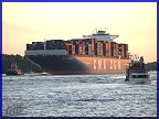 CMA CGM Pegasus